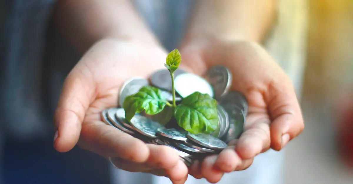 Quel budget prévoir pour un événement éco-responsable ?