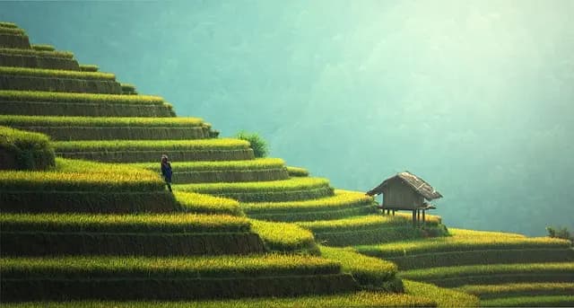 10 Astuces pour un Événement Écoresponsable Réussi