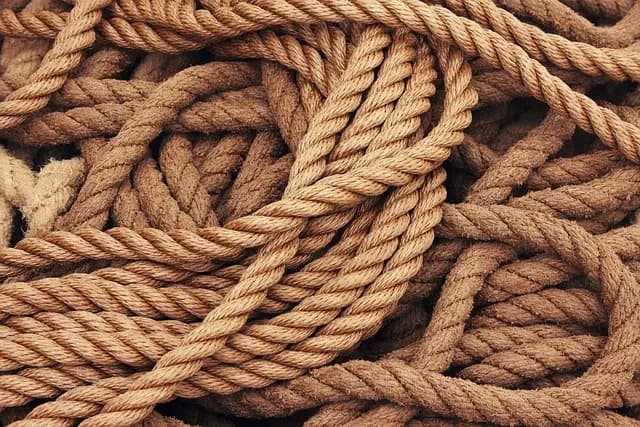 Comment réduire l'empreinte carbone de votre événement écoresponsable