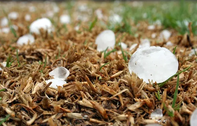 Les meilleures pratiques pour évaluer l'impact écologique de votre événement