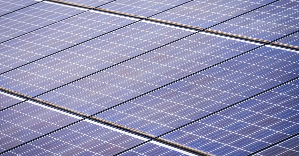 Personnaliser votre événement tout en restant eco-friendly