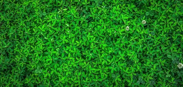 Comment choisir des activités engageantes pour un événement éco