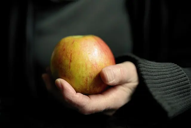 Les meilleures astuces pour choisir un traiteur écoresponsable