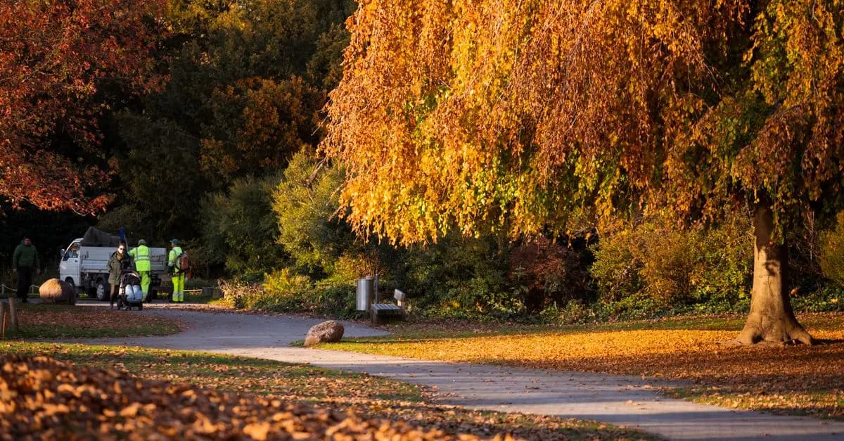 Comment choisir des activités écoresponsables pour votre événement
