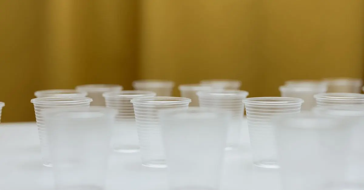 Comment intégrer la durabilité dans vos événements écoresponsables