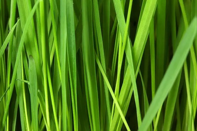 10 stratégies pour réussir un événement éco-responsable