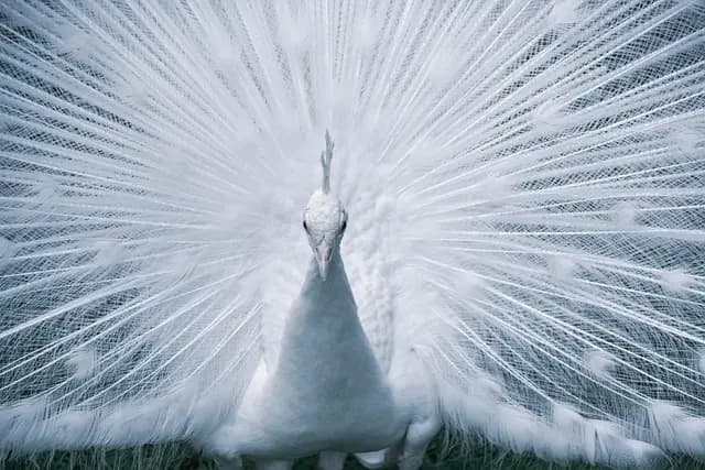 10 erreurs à éviter lors de l'organisation d'un événement écoresponsable