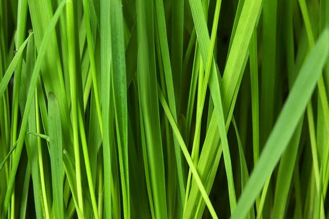Comment réduire les déchets lors de votre événement écoresponsable