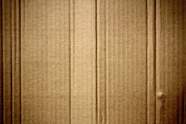 Les meilleures pratiques pour un événement écoresponsable