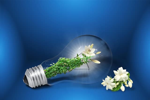 Les meilleures pratiques pour maximiser l'impact écologique des événements