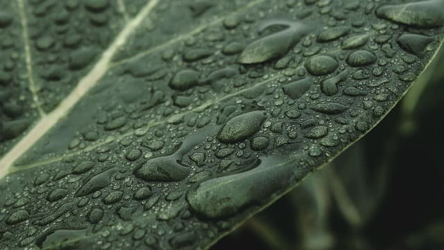 10 étapes clés pour réussir un événement écoresponsable